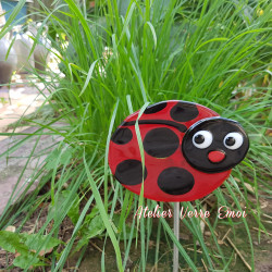 Coccinelle de Jardin